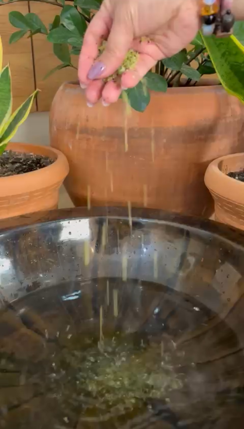 ملح الاستحمام بالفربينا (200 ج) - الصورة 3